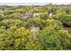 Aerial view of homes surrounded by lush green trees, blending seamlessly with the natural landscape at 93 Surfscoter Ln, Kiawah Island, SC 29455