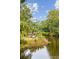Picturesque water view with lush greenery creating a serene and inviting atmosphere at 93 Surfscoter Ln, Kiawah Island, SC 29455