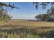 Scenic marsh view with a dock and distant buildings, framed by trees and foliage against a clear blue sky at 130 River Landing Dr # 4209, Charleston, SC 29492