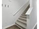Carpeted staircase with white railing leading to the upper level at 204 Cozy Brook Ct, Summerville, SC 29486
