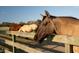 Pastoral scene with three horses in a lush green field under a clear sky at 2276 Seascape Ct, Seabrook Island, SC 29455