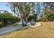 Beautiful backyard with Adirondack chairs underneath a large tree, perfect for outdoor living and relaxation at 2514 Bullock Guard Dr, Johns Island, SC 29455