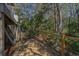 A wooded backyard with a fence and plenty of privacy at 308 Jungle Rd, Edisto Beach, SC 29438