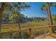 Scenic view of the marsh from a wooden deck, showcasing the natural beauty surrounding the property at 308 Jungle Rd, Edisto Beach, SC 29438