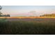 Tranquil marsh view provides a serene backdrop with golden hues, reflecting the sunrise over the distant cityscape at 509 Seven Farms Dr, Charleston, SC 29492