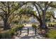Walkway surrounded by live oak trees with a glimpse of a playground in the distance at 1225 Blakeway St # 403, Charleston, SC 29492