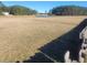 Large grassy backyard with mature trees and pond view at 126 Shadybrook Dr, Summerville, SC 29486