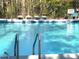 Enjoy this community pool with lounge chairs for relaxing and cool, clear water for swimming at 1346 Ashley Gardens Blvd, Charleston, SC 29414