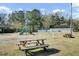 Community playground with swings, slides, and picnic tables, perfect for outdoor Gathering fun at 147 Moon Dance Ln, Summerville, SC 29483