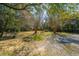 Expansive backyard featuring mature trees and a gravel driveway at 207 S Gum St, Summerville, SC 29483