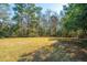 Expansive backyard with mature trees and lawn at 207 S Gum St, Summerville, SC 29483