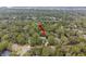 Overhead shot of a neighborhood dotted with lush trees and a charming home, indicating privacy at 2648 Seabrook Island Rd, Seabrook Island, SC 29455