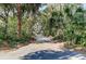 Driveway surrounded by lush green trees and plants leading up to the house at 31 Berkshire Hall, Kiawah Island, SC 29455