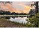 A view of the pond reflecting the sunset surrounded by lush green trees next to a golf course at 31 Berkshire Hall, Kiawah Island, SC 29455