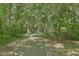 Neighborhood walking trail winds through lush trees and greenery at 659 Hamlet Cir, Goose Creek, SC 29445