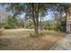 Expansive backyard featuring a mature shade tree and play equipment, perfect for Gathering fun and outdoor activities at 7759 Edingsville Beach Rd, Edisto Island, SC 29438