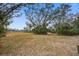 Expansive backyard offering lush greenery and tranquil surroundings at 7759 Edingsville Beach Rd, Edisto Island, SC 29438