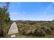 Picturesque boardwalk view with lush greenery and serene marsh scenery at 7759 Edingsville Beach Rd, Edisto Island, SC 29438