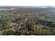 Panoramic aerial view of the property surrounded by lush forest, trees, and distant waterways at 8255 Chisolm Plantation Rd, Edisto Island, SC 29438