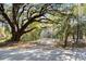 Secluded driveway lined with mature trees and foliage for a private entrance at 8255 Chisolm Plantation Rd, Edisto Island, SC 29438