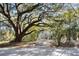 Scenic driveway lined with mature trees and Spanish moss offering a picturesque entrance to the property at 8255 Chisolm Plantation Rd, Edisto Island, SC 29438