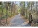 Gravel driveway surrounded by lush trees and greenery offering a private entrance to the property at 8255 Chisolm Plantation Rd, Edisto Island, SC 29438