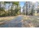 Gravel driveway surrounded by lush trees and greenery providing a private entrance to the property at 8255 Chisolm Plantation Rd, Edisto Island, SC 29438
