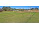 Scenic view of a golf course with neatly manicured grass, a flag, and scattered golf balls at 8615 Arthur Hills Cir, North Charleston, SC 29420