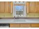 Close up on a bright kitchen sink with wooden cabinets and a window overlooking the back yard at 8615 Arthur Hills Cir, North Charleston, SC 29420
