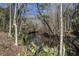 Serene creek view, enhanced by sunlight, with surrounding trees, showing waterfront potential at 1195 Michelle Ln, Johns Island, SC 29455