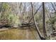 Picturesque creek featuring natural banks and surrounding woodlands, offering privacy and a serene setting at 1195 Michelle Ln, Johns Island, SC 29455