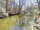A view of the river with trees from the property at 1195 Michelle Ln, Johns Island, SC 29455