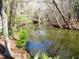 A view of the river with trees from the property at 1195 Michelle Ln, Johns Island, SC 29455
