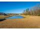 Scenic view of a tranquil pond surrounded by lush greenery in a peaceful backyard setting at 130 Darby Mdw Ln, Ridgeville, SC 29472
