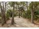 Gravel walking path through wooded area with mature trees and scenic nature views at 130 River Landing Dr # 6207, Charleston, SC 29492