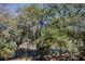 A peaceful backyard featuring mature trees and lake views at 130 River Landing Drive # 8209, Charleston, SC 29492