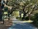Scenic tree-lined road with sunlight filtering through the lush canopy, creating a peaceful, inviting atmosphere at 130 River Landing Drive # 8209, Charleston, SC 29492