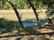 Picturesque view of a wetland area with tall grasses, trees, and aquatic features, showcasing the community's natural beauty at 130 River Landing Drive # 8209, Charleston, SC 29492