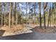 Natural gravel walking path leading to the condo building through a lush wooded area at 1505 Basildon Rd, Mount Pleasant, SC 29466