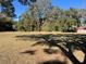 Expansive lot of land, offering ample space and opportunities for development or recreation at 17 Anita Dr, Charleston, SC 29407