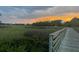 Scenic shot of marsh-side walking path, perfect for nature walks and enjoying the serene landscape and neighborhood at 184 Scott St, Daniel Island, SC 29492