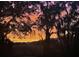 Beautiful sunset over trees and marshland from backyard at 184 Scott St, Daniel Island, SC 29492