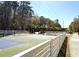 Community pickleball and swing set areas surrounded by woods and fencing at 2014 Codorus Ln, Hanahan, SC 29410