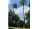 Lush backyard showcasing palm trees and landscaping against a blue sky at 2664 Magnolia Woods Dr, Mount Pleasant, SC 29464