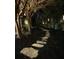 A stone path meanders through lush greenery and elegant landscape lighting at 2664 Magnolia Woods Dr, Mount Pleasant, SC 29464