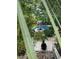 Serene pool area and a fire pit viewed through lush bamboo, creating a private backyard retreat at 2664 Magnolia Woods Dr, Mount Pleasant, SC 29464