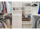 Organized walk-in closet with built-in shelves, drawers, hanging rods, and a wire basket for storage at 4105 Gnarled Oaks Ln, Johns Island, SC 29455
