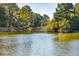Scenic view of tranquil lake surrounded by mature trees and lush greenery at 4105 Gnarled Oaks Ln, Johns Island, SC 29455