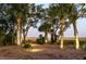 Backyard seating beneath palm trees with landscape lighting and marsh views at 4935 Sound View Dr, Mount Pleasant, SC 29466