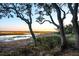 Picturesque marsh view with trees framing the tranquil scene at 4935 Sound View Dr, Mount Pleasant, SC 29466
